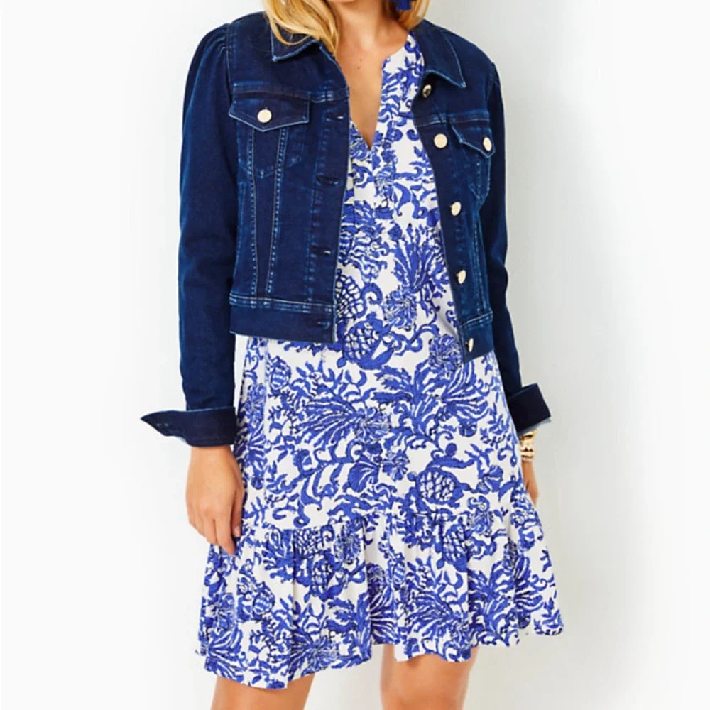 Lilly Pulitzer Alyssa A-Line Cotton Dress - Picture 3 of 9